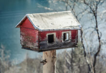 Função Social Propriedade